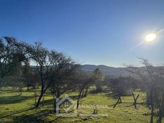 Agrícola En Venta En Cauquenes