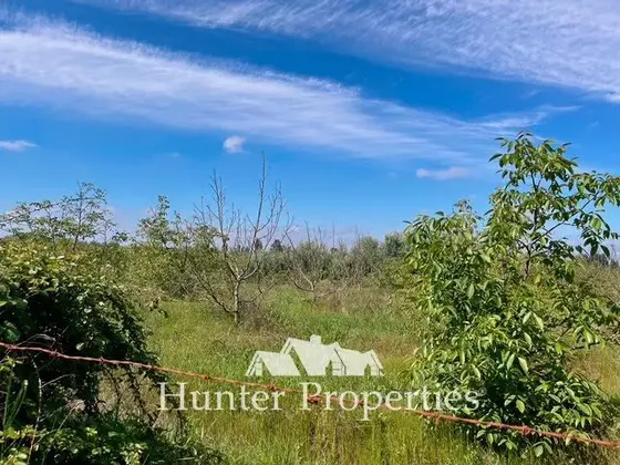 Parcela Rural De 5.000 M2 En Venta En Linares, Sector Retiro