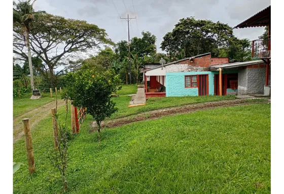 Venta Finca Montenegro A Quimbaya. Quindío - Colombia Cod: 9160906