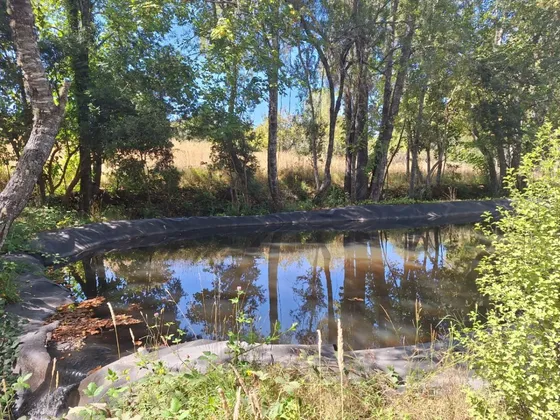 Proyecto Parque Nativo