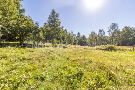 Parcela Con Bosque Nativo Cercana A Pucón.