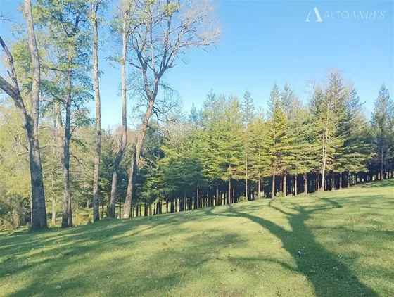 Sitio En Venta En Villarrica