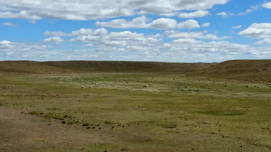 Estancia En Tierra Del Fuego De 4190 Hectáreas