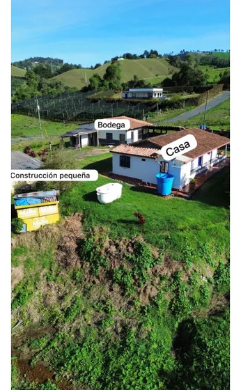 Se Vende Finca En La Ceja $520 Millones Vereda Fátima 9km Casco Urbano