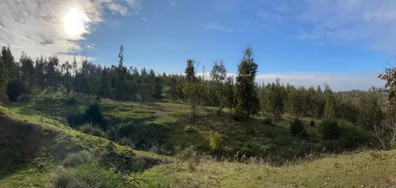 Hermoso Sitio En Venta!