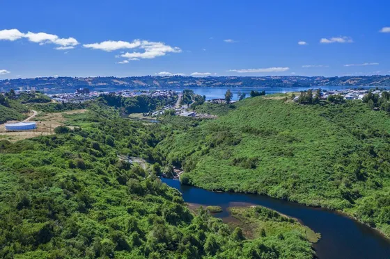Sitio En Venta En Castro
