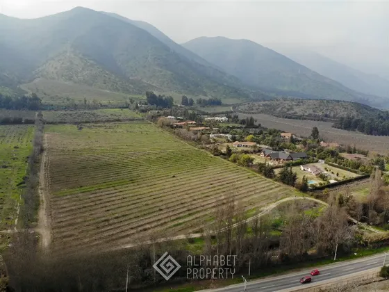 Agrícola En Venta En Paine