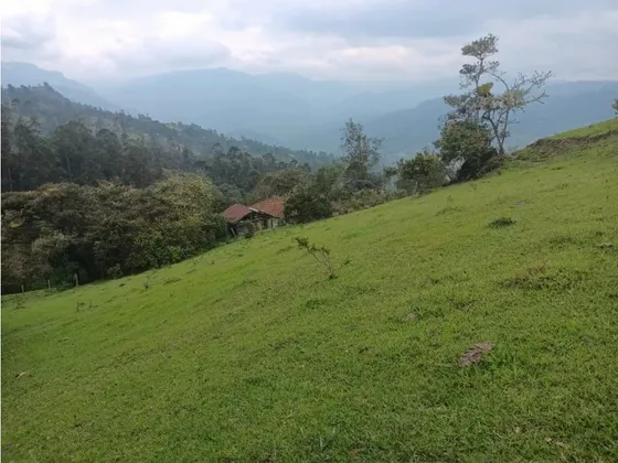 Vendo O Permuto Finca  En Junin Cundinamarca