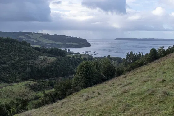 Lugar Único En Chiloé, Dalcahue (73814)