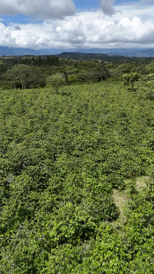 Hacienda Santalucia : 17,5  Hectáreas De La Mas Vibrante Naturaleza
