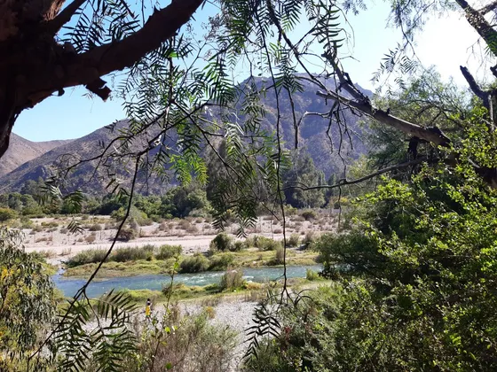 Sector El Molle