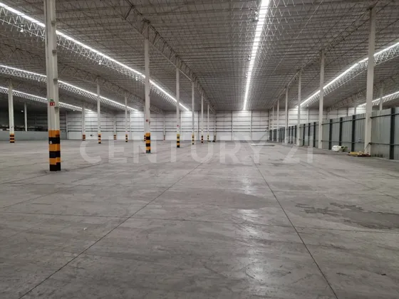Bodega En Renta En Moises Saenz , Apodaca, Nuevo Leon