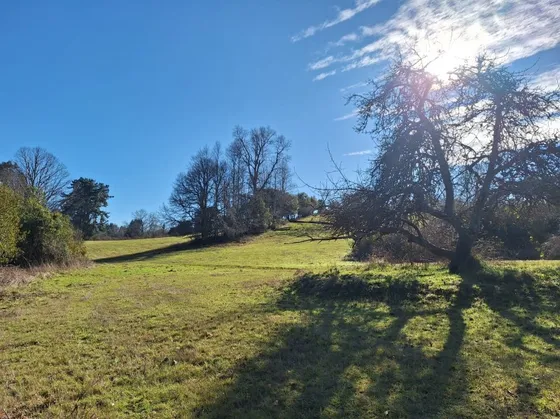Parcela En Venta En Cond El Olivar Pitrufquen 