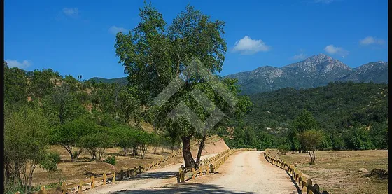 Sitio En Venta En Curacaví