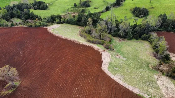 Agrícola En Venta En Fresia