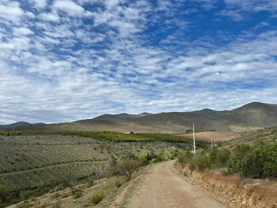 Venta Terreno 132 Has Los Andes 1 Sector Bellavista Illapel.
