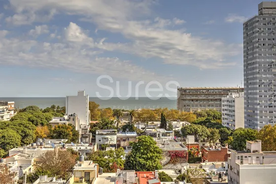 Venta Apartamento 1 Dormitorio, Punta Carretas (ref: Srs-12025)