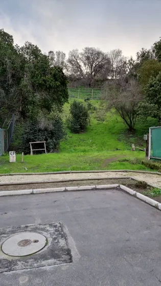 Terreno Papudo Punta Puyai - Arenas Ii