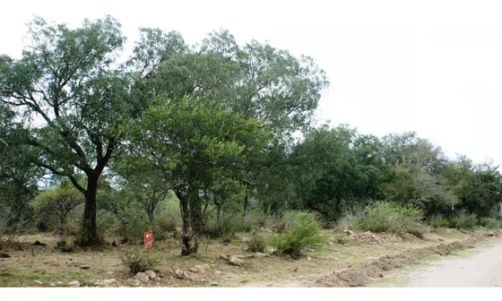 Terreno En Tanti, Plano, Vegetación Autóctona, Agua. Villa Flor Serran