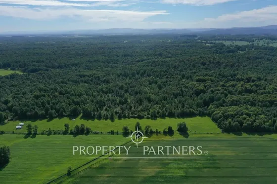 Terreno Con Monte Y Bosque De Renovales, Paillaco