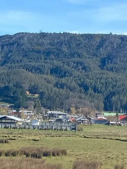 Vendo 16 Hectáreas De Cerro En Llico, Arauco