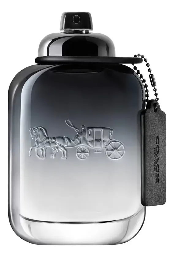 Perfume Coach New York Masculino 100ml Edt