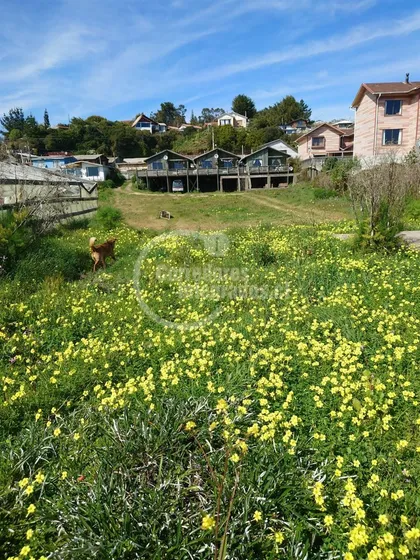 Terreno De 2.350m2 En 1ra Linea Con 3 Cabañas En Pelluhue
