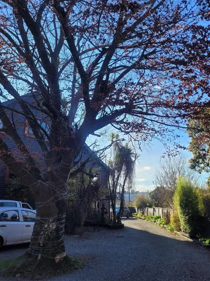 Local Comercial En Venta En Osorno