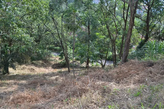 Lote En Venta Mirador De El Poblado Con Vista A La Ciudad