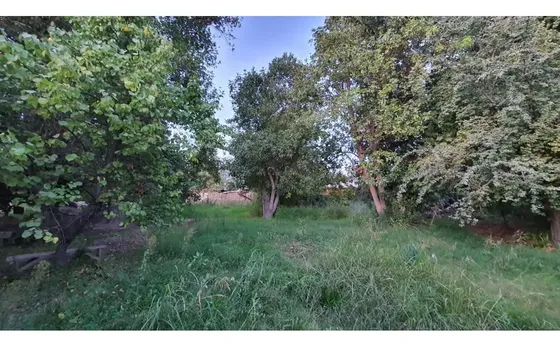 Venta Terreno 1300m2 Aprox. Cercano A Centro De Calle Larga