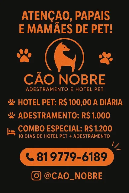 Adestramento Positivo E Hospedagem 
