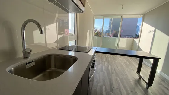 Arriendo Departamento 1hab 1ba Ñuñoa