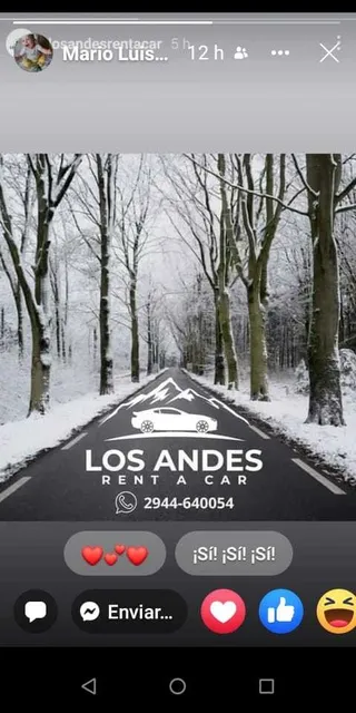 Alquiler De Autos Sin Chofer