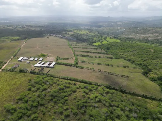 Terreno-finca En El Cupey, Pto. Pta.  1189