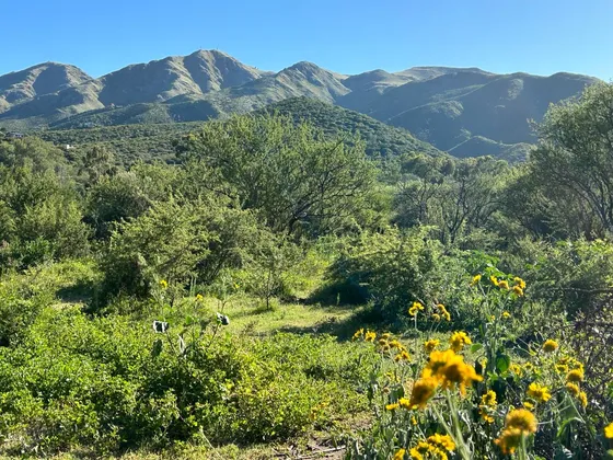 Venta Terreno En La Cumbre 5000 M2 (cruz Chica).