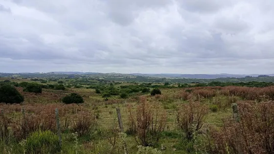 Quinta En Venta En Aigua
