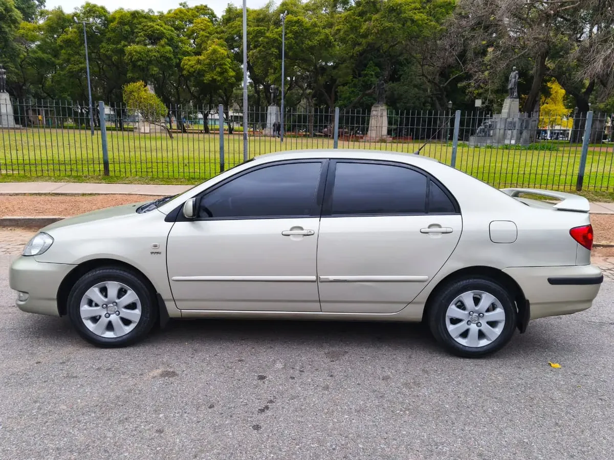 Miniatura 10