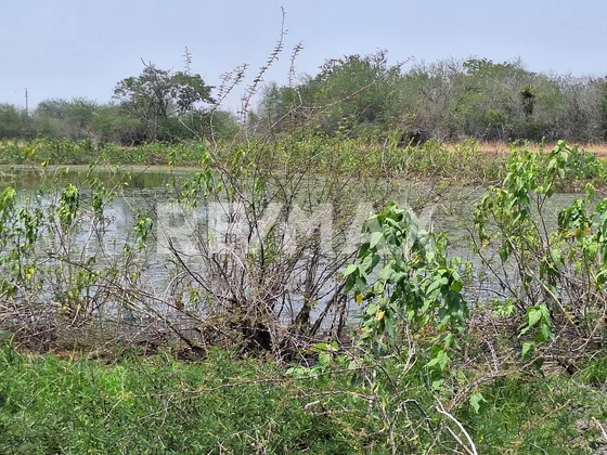 Rancho En Venta En Gonzalez
