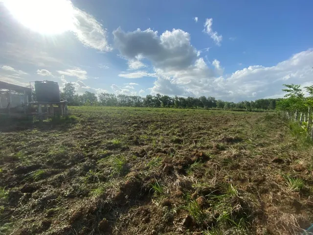 Vendo 6,602.40 Metro Cuadrado De Terreno En La Carretera De Samaná A 5 Minutos De Monte Plata Próximo Al 5 Hay Un Rio Cerca, Rep.dom