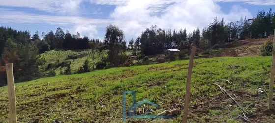 Vende Terreno Lago Vichuquen