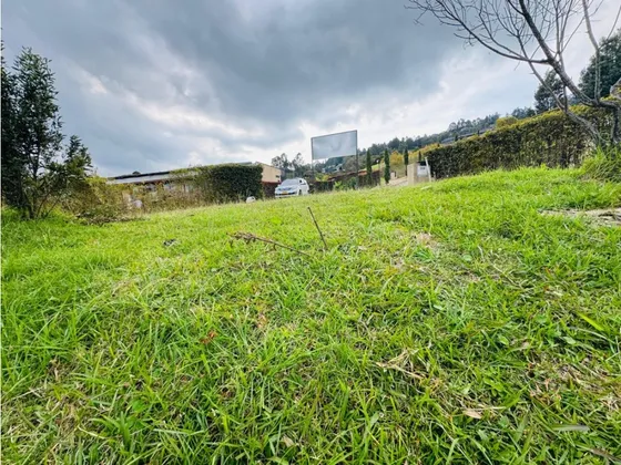 Lote En Venta Alto De Palmas