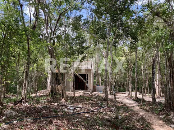 Casa Para Remodelar En Muyil -tulum