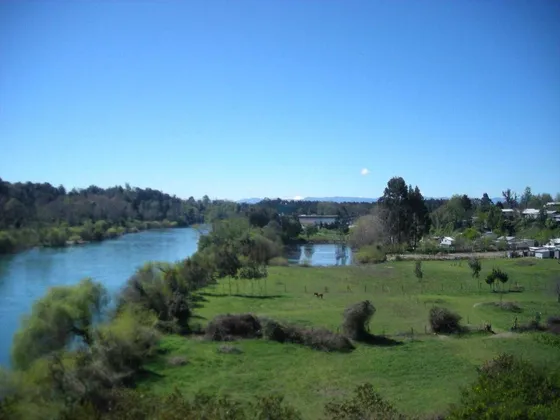 Parcela En Los Lagos / Excelente Inversión (69744)