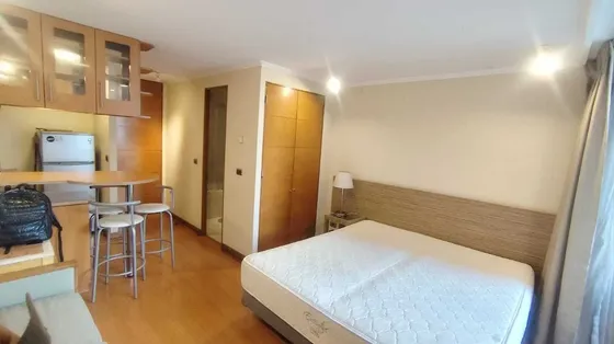 Dpto Arriendo Studio Providencia M Los Leones (168190)