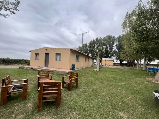 Venta Finca Barrancas, Mendoza, 60 Hectareas 
