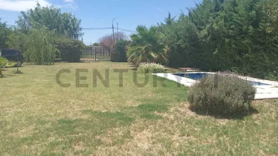 Casa Con Amplio Parque Y Pileta En El Carrizal, Mendoza