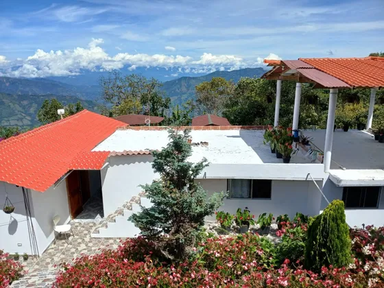 Vendo Finca / Aguacatera Hass Con Hermosa Casa En La Vereda Roblal En Sonsón - Negociable
