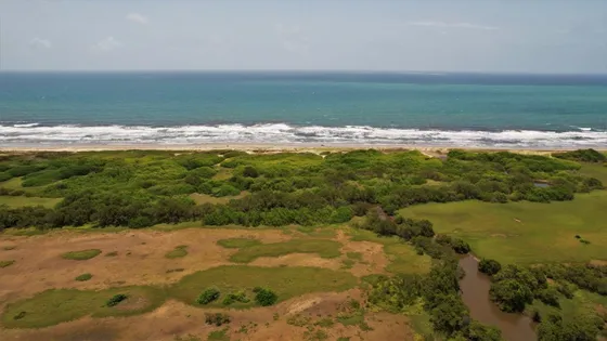 Venta De Terreno En Chichiriviche Estado Falcon