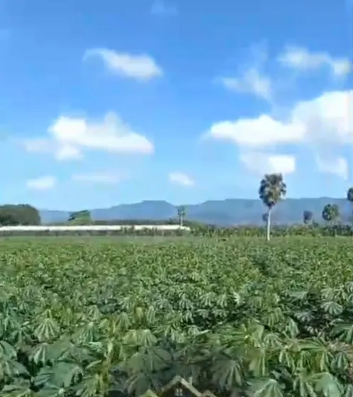 Se Vende Finca De 314,500 Metros Licey, Santiago