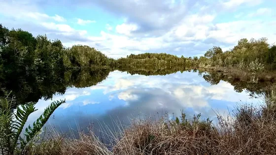 Parcela Con Laguna Y Acceso A Lago-casa En Proyecto P Montt